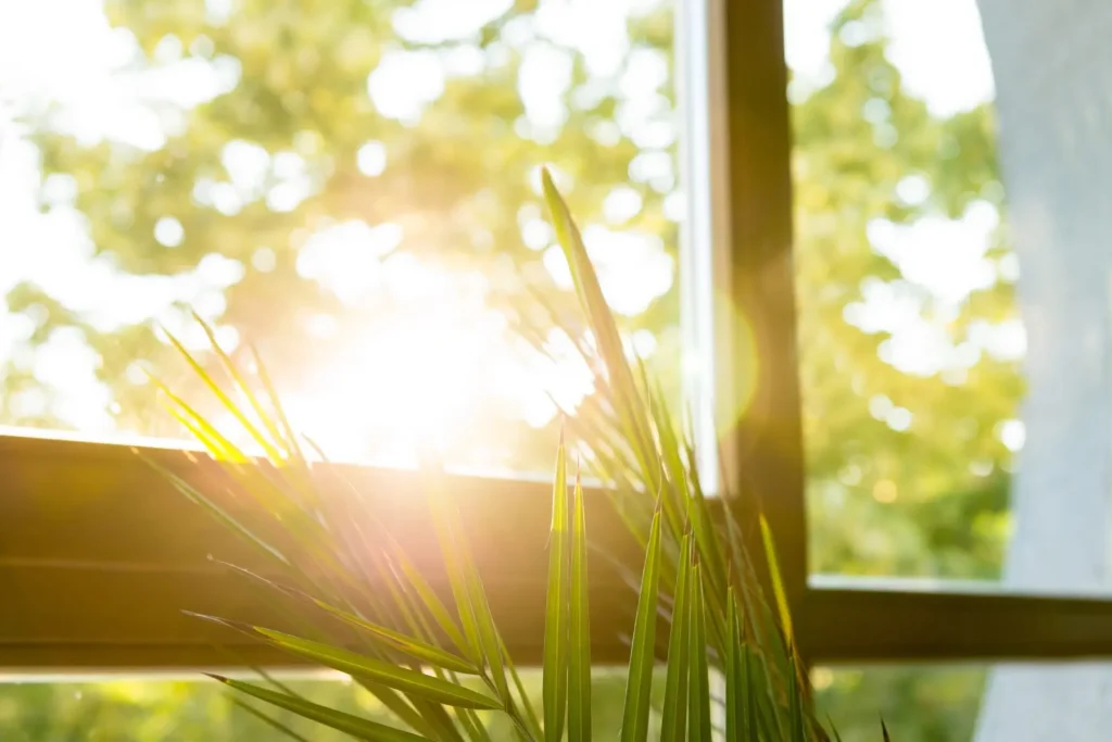 upvc windows Mark Smith Glazing